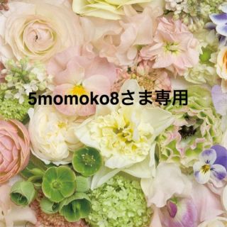 5momoko8さま専用ページ♡(つけ爪/ネイルチップ)