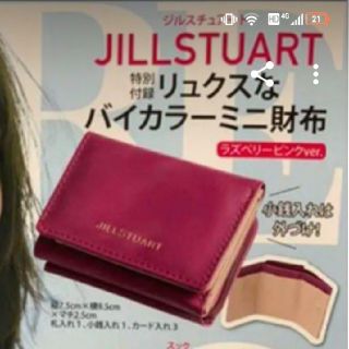 ジルスチュアート(JILLSTUART)のMORE11月号付録　ジルスチュアート　ミニ財布(財布)