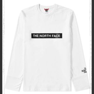 ザノースフェイス(THE NORTH FACE)のノースフェイス  ロンT ロングスリーブ 日本未入荷(Tシャツ/カットソー(七分/長袖))