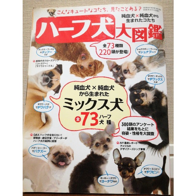 ハーフ犬大図鑑 エンタメ/ホビーの本(住まい/暮らし/子育て)の商品写真