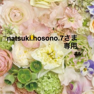 natsuki.hosono.7さま専用