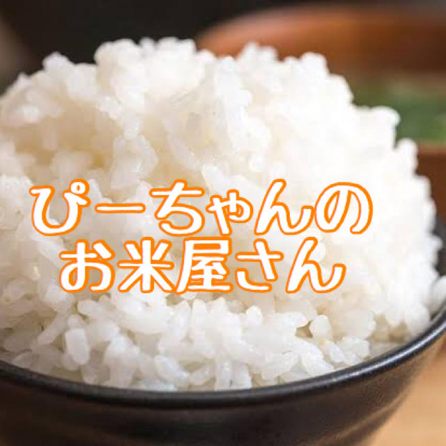 新米 お米 無洗米 コシヒカリ 10kg(5kg×2) 福井県産 令和元年 食品/飲料/酒の食品(米/穀物)の商品写真