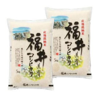 新米 お米 無洗米 コシヒカリ 10kg(5kg×2) 福井県産 令和元年(米/穀物)