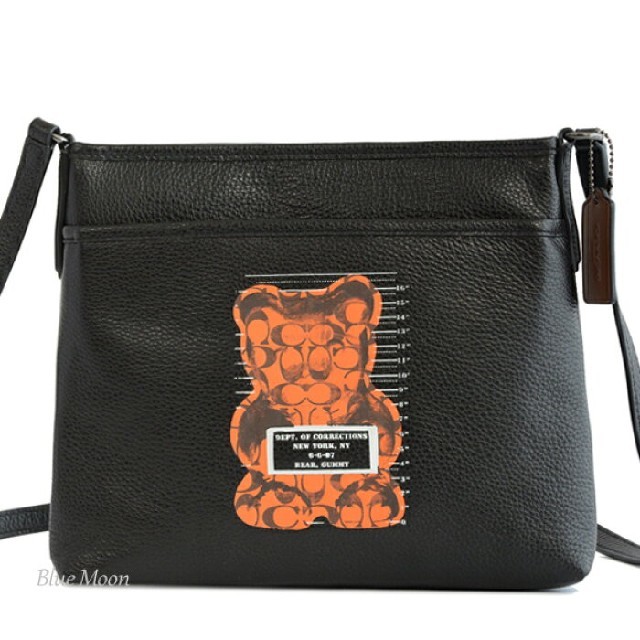 COACH　クマ　ショルダーバッグファスナー式開閉