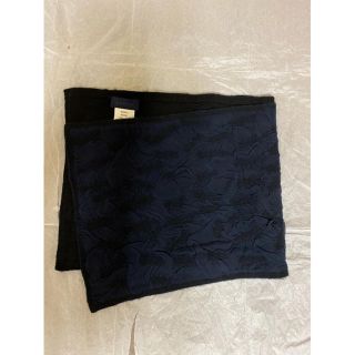 ランバン(LANVIN)のLANVIN ニードルパンチ　シルクウールストール(ストール)