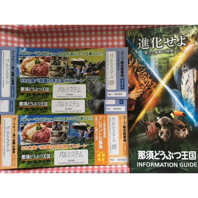 那須どうぶつ王国 チケット 幼児プレゼント付き チケットの施設利用券(動物園)の商品写真