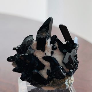 【鉱物標本】ネプチュナイト 母岩付き 原石 アメリカ産(その他)