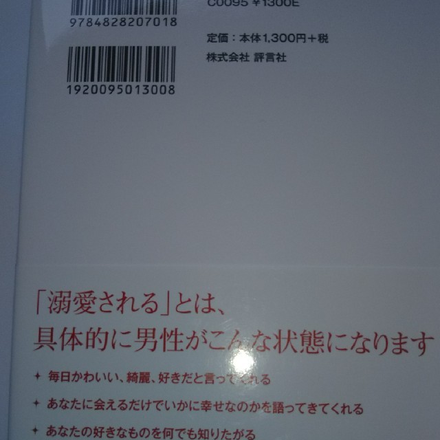 溺愛理論 エンタメ/ホビーの本(ノンフィクション/教養)の商品写真