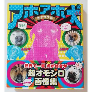 タカラジマシャ(宝島社)のアホアホ犬(住まい/暮らし/子育て)