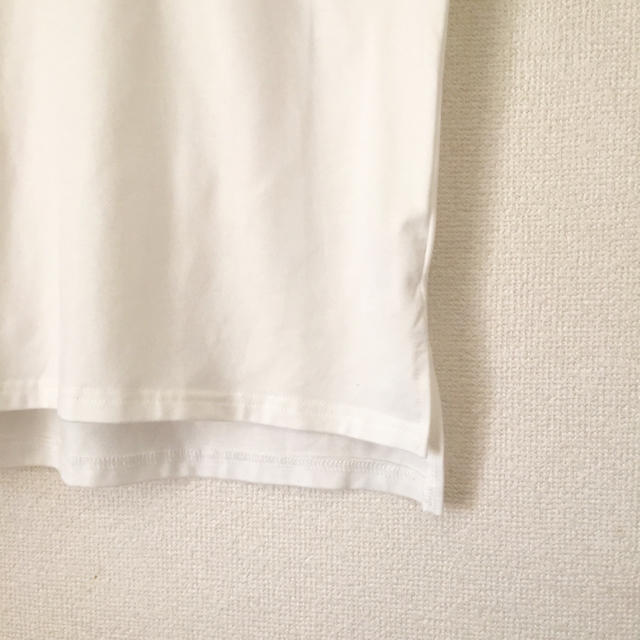 PAPILLONNER(パピヨネ)のパピヨネ シマウマTシャツ 刺繍 レディースのトップス(Tシャツ(半袖/袖なし))の商品写真