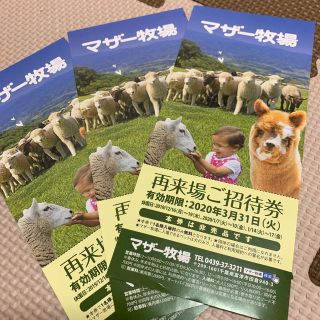 招待券 マザー牧場 3枚セット バラ売り可(動物園)