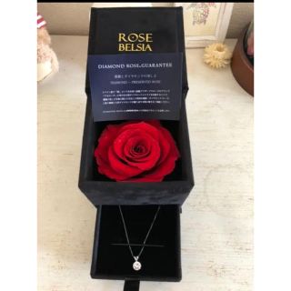 ROSE BELSIA(ネックレス)