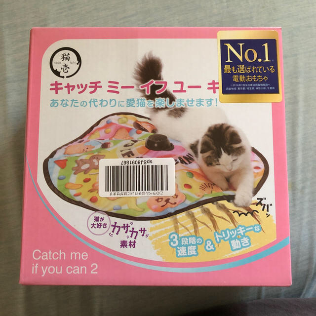 猫 おもちゃ キャッチ ミー イフユーキャン2 その他のペット用品(猫)の商品写真