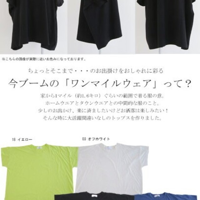 antiqua(アンティカ)のバスクTシャツ白(ｱﾝﾃｨｶ) レディースのトップス(Tシャツ(半袖/袖なし))の商品写真