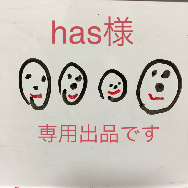 【has様専用】子ども用 プリーツマスク 2枚の通販