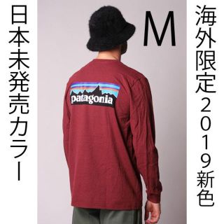 パタゴニア(patagonia)のM 日本未発売 海外限定色 新品パタゴニア ロングスリーブ P6 ロゴ(Tシャツ/カットソー(七分/長袖))