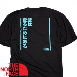 ノースフェイス 半袖 Tシャツ メンズ 海外XL 日本3L相当 ベージュ nsb