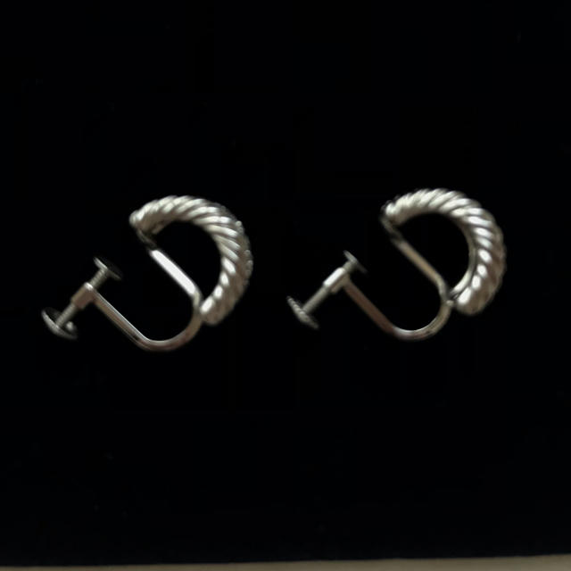 Tiffany & Co.(ティファニー)のプラチナ 2連ダイヤ イヤリング レディースのアクセサリー(イヤリング)の商品写真