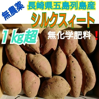 無農薬栽培❗《シルクスィート１㎏》コンパクトboxいっぱいに。長崎県五島列島より(野菜)