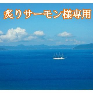 「炙りサーモン様専用❗」〈安納芋&シルクスィート〉長崎県五島列島より(野菜)