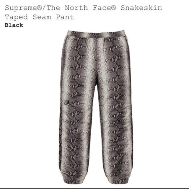 supreme North Face  スネークスキン