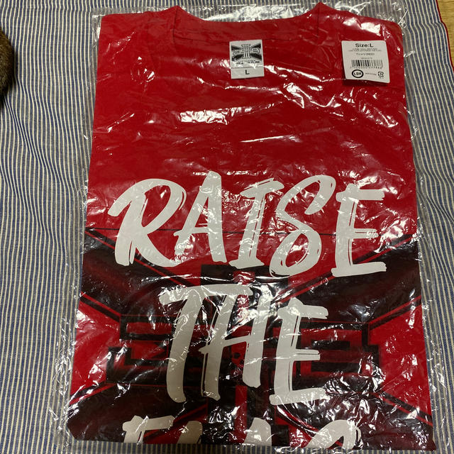 ３代目ライブツアー 2019 RAISE THE FLAG Tシャツ