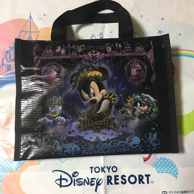 Disney(ディズニー)の美品！ディズニーハロウィンバック エンタメ/ホビーのおもちゃ/ぬいぐるみ(キャラクターグッズ)の商品写真