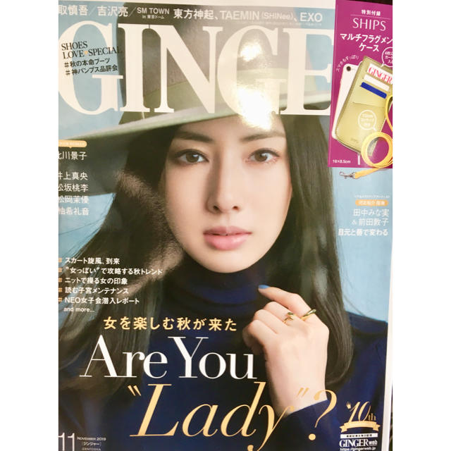 SHIPS(シップス)のGinger １１月号 付録 エンタメ/ホビーの雑誌(ファッション)の商品写真