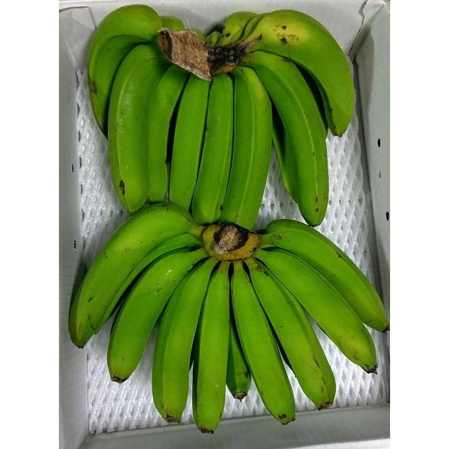 甘く美味しい！沖縄北部産 台湾系島バナナ（3尺バナナ） 1kg♪ 食品/飲料/酒の食品(フルーツ)の商品写真