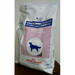 ロイヤルカナン(ROYAL CANIN)のロイヤルカナン　スキンケアプラス　ジュニア(ペットフード)