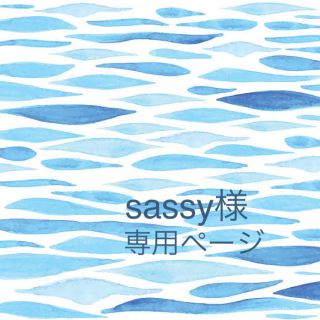 フリクションメイド(FRICTION made)の【sassy様】専用ページ(ペン/マーカー)