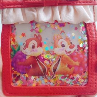 ディズニー(Disney)の【みかんさま専用】チップ＆デール　パスケース　シェイカー(名刺入れ/定期入れ)