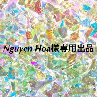 Nguyen Hoa様専用出品(その他)