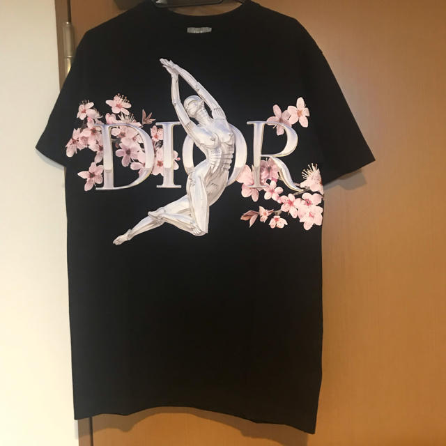 Dior sorayama コラボ TシャツTシャツ/カットソー(半袖/袖なし)