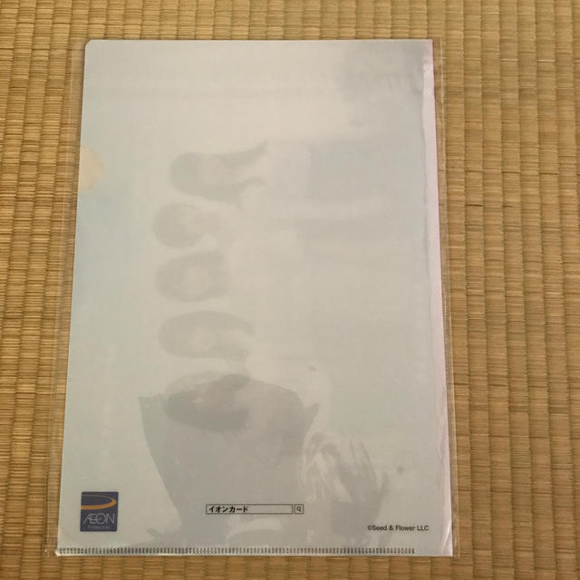 欅坂46(けやき坂46)(ケヤキザカフォーティーシックス)のイオンカード   クリアファイル エンタメ/ホビーのタレントグッズ(アイドルグッズ)の商品写真