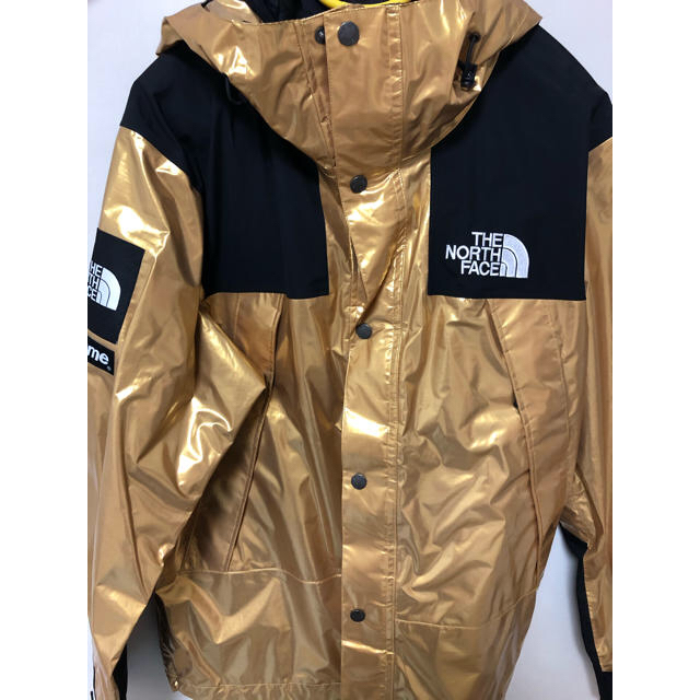 supreme north face metallic mountain