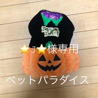 小型犬 ハロウィン服(犬)