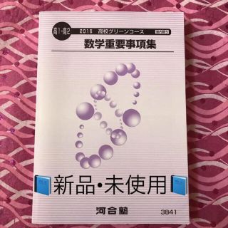 🌸新品🌸 高1・高2 数学重要事項集 河合塾 2016 高校グリーンコース(語学/参考書)