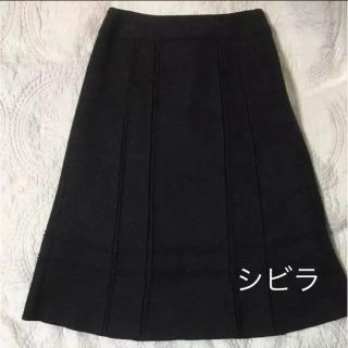 シビラ(Sybilla)のシビラ あったかスカート(ひざ丈スカート)