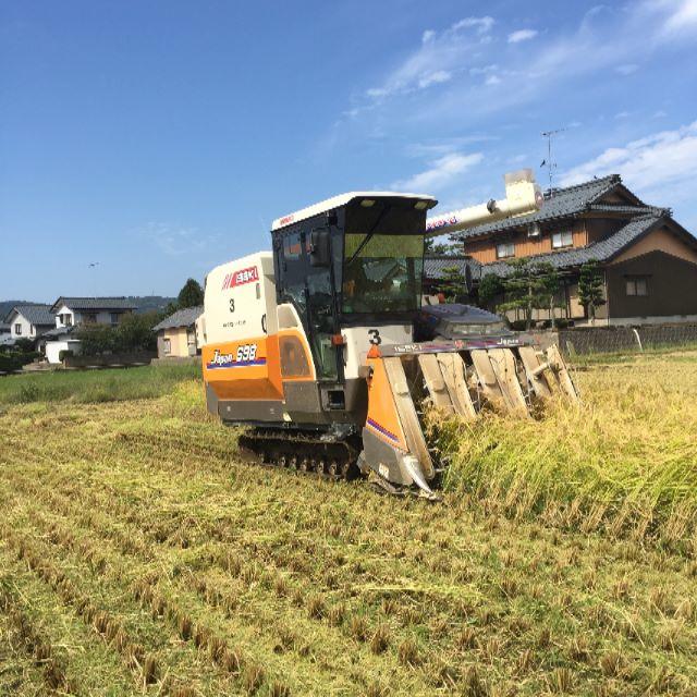 Dyson - せせ　