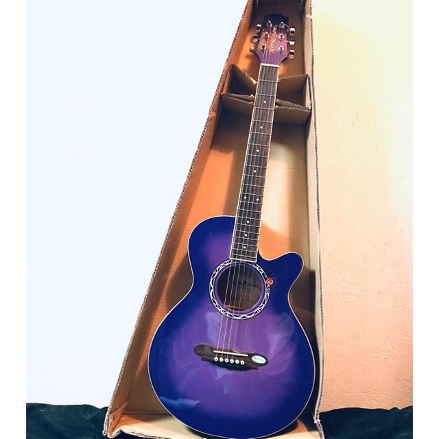 ジプシーローズ アコースティックギター パープル | フリマアプリ ラクマ