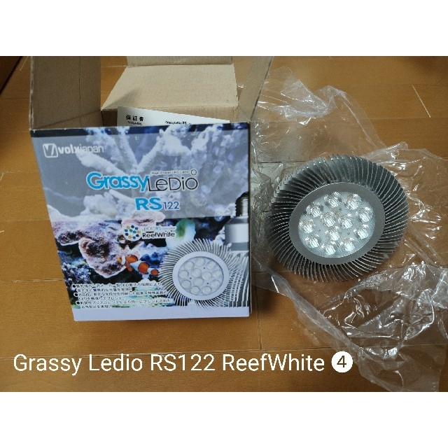 [❹]ボルクスジャパンGrassy LeDio RS122 RWリーフホワイト