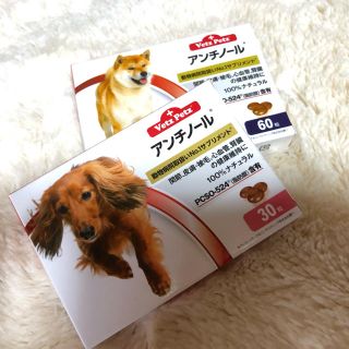 アンチノール 犬用90粒 新品(犬)