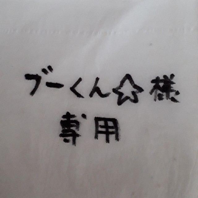 Takara Tomy(タカラトミー)のブーくん★様　専用 エンタメ/ホビーのおもちゃ/ぬいぐるみ(キャラクターグッズ)の商品写真