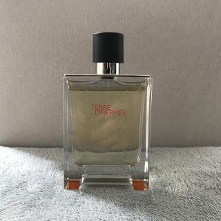 エルメス(Hermes)のHERMES テール ドゥ エルメス EDT 100ml(香水(男性用))