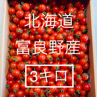 北海道・富良野産 ミニトマト ３キロ 【３キロ箱は本日2箱限定】(野菜)