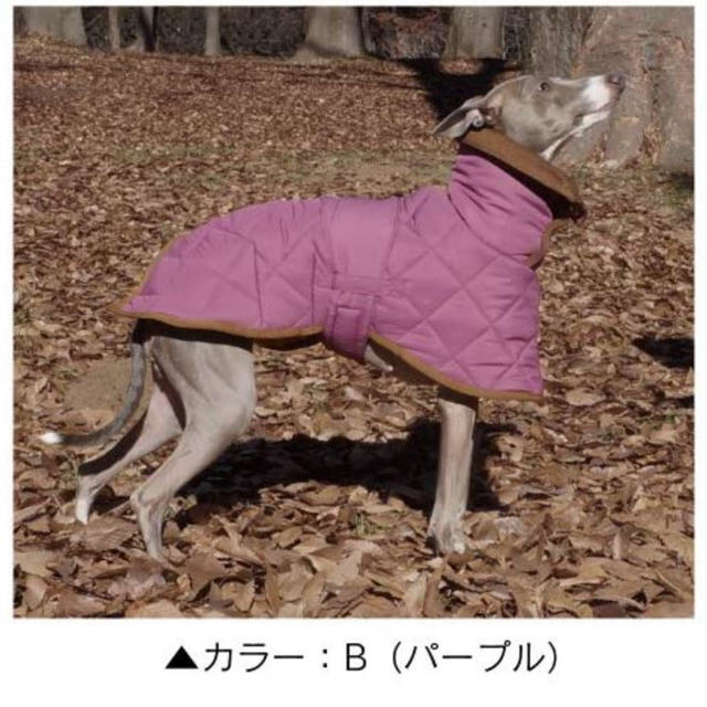 イタグレ 服 ハウンディーズ フィールドコート その他のペット用品(犬)の商品写真