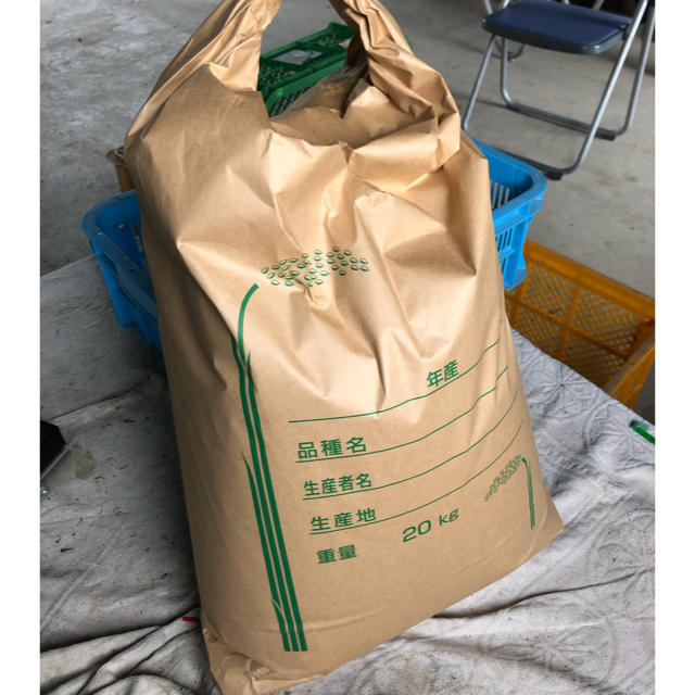 徳島県産キヌヒカリ 令和1年度 新米 20kg 玄米食品/飲料/酒