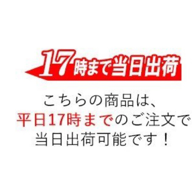 お米 令和元年産 無洗米 コシヒカリ 10kg 10キロ 福井県産 福井米 食品/飲料/酒の食品(米/穀物)の商品写真