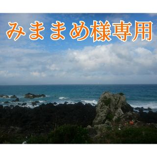 「みままめ様専用❗」無農薬❗シルクスィート 長崎県五島列島より(野菜)